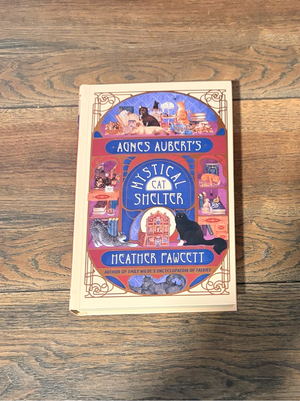 Book in a box edition - Agnes Aubert's Mystical Cat Shelter